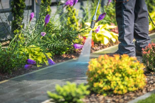 Trusted San Bernardino, CA Pressure Washing Services Experts
